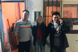 太白融资清欠服务