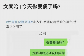 太白企业清欠服务